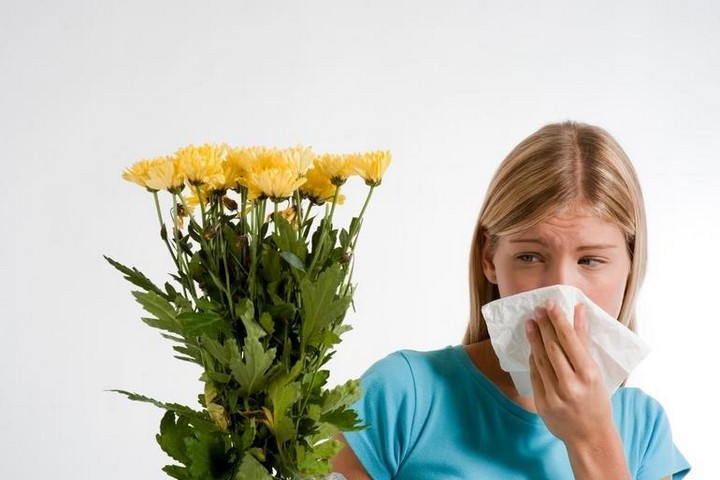 Всемирный день борьбы с аллергией